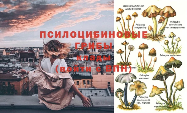 бутират Беломорск